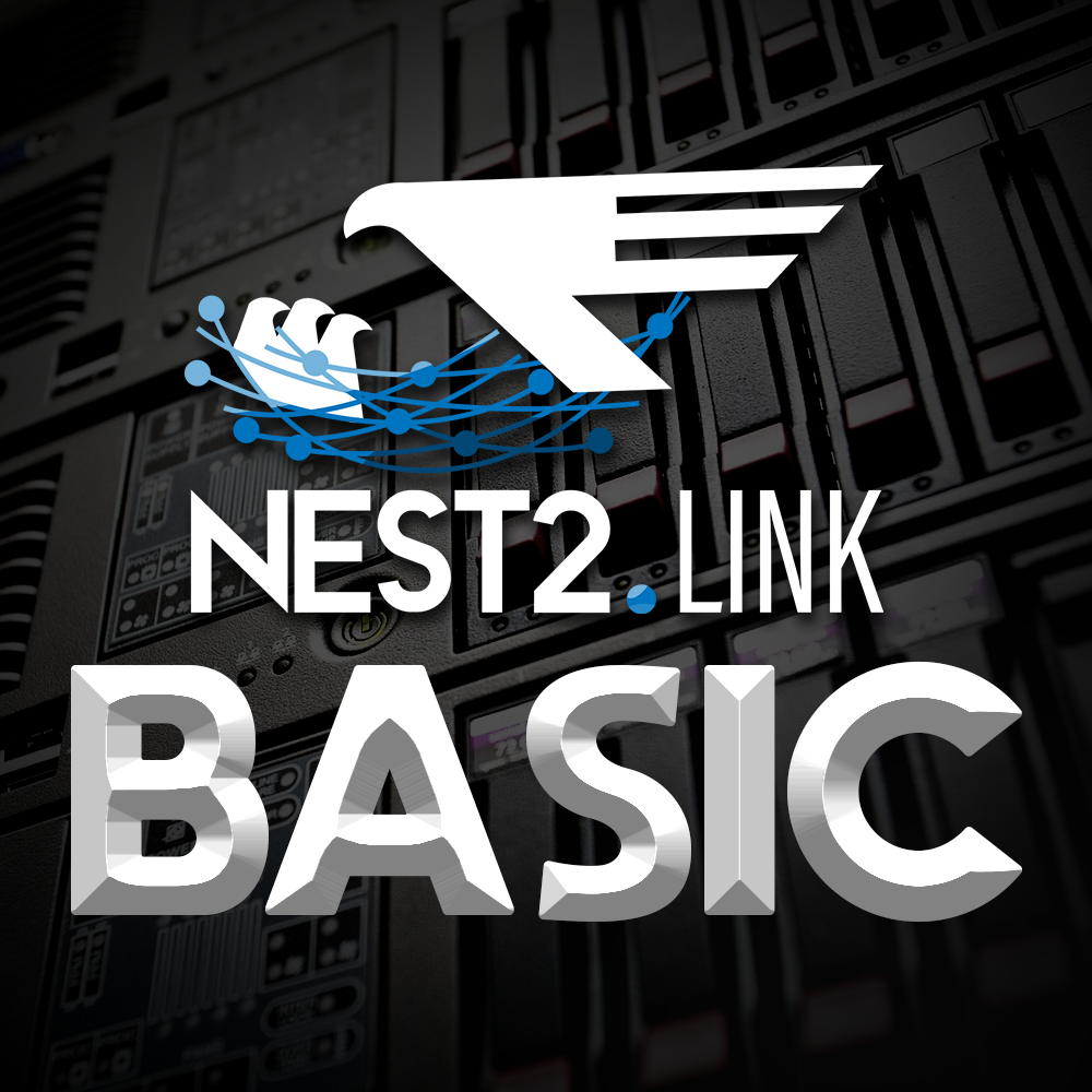 nest2Link_Basic